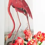 Boutique De Salon